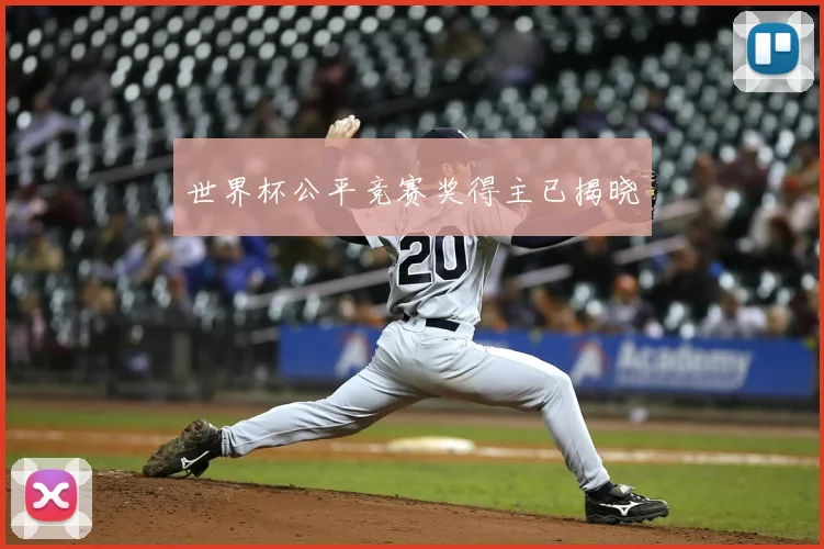 世界杯公平竞赛奖得主已揭晓